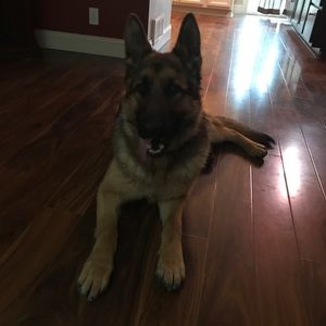 Meet your Posher, Haley